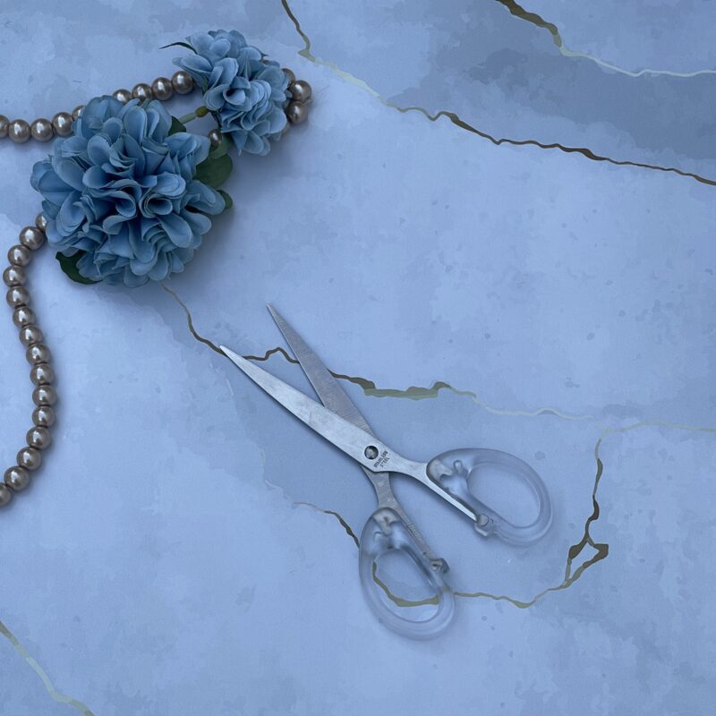 Transparent Scissors